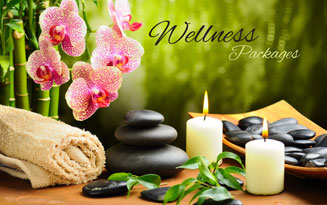Dcomfort Air Travel   and Tourism LLC UAE. | Wellness Packages