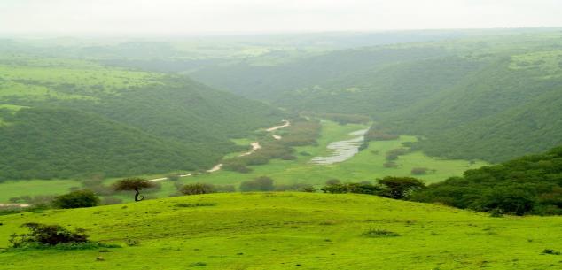 Dcomfort Air Travel   and Tourism LLC UAE. | Enchanting Salalah